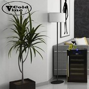 Винный шкаф Cold Vine C18-TBF1 фото 3 в Казани и Татарстане