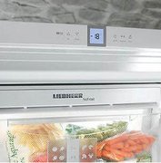 Холодильник Liebherr ICUNS 3023 фото 3 в Казани и Татарстане