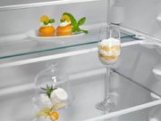 Встраиваемый холодильник Electrolux ENT6ME19S фото 4 в Казани и Татарстане