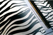 Вытяжка Falmec Mirabilia 67 Zebra Vetro (800) ECP фото 2 в Казани и Татарстане