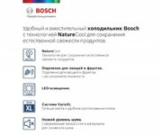 Холодильник с нижней морозильной камерой BOSCH KGE39AL33R фото 2 в Казани и Татарстане