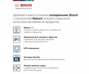 Холодильник с нижней морозильной камерой BOSCH KGE39XL22R фото 2 в Казани и Татарстане