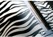 Вытяжка Falmec Mirabilia Isola 67 Zebra Vetro (800) ECP фото 2 в Казани и Татарстане