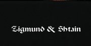 Духовой шкаф Zigmund Shtain EN 121.921 B фото 4 в Казани и Татарстане