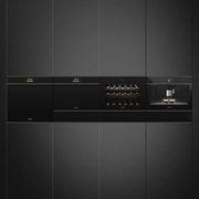 Духовой шкаф комбинированный с микроволновой печью Smeg SF4604PMCNR фото 3 в Казани и Татарстане