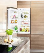 Встраиваемый холодильник Liebherr IK 1950 Premium фото 2 в Казани и Татарстане