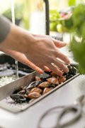Коландер для кухонной мойки Франке 112.0066.060 фото 4 в Казани и Татарстане Коландер для кухонной мойки Franke 112.0066.060 фото 4 в Казани и Татарстане