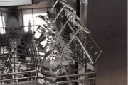 Встраиваемая посудомоечная машина Gaggenau DF480100F фото 4 в Казани и Татарстане
