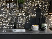 Мойка Franke BXX 210/110-68 полированная нержавеющая сталь фото 2 в Казани и Татарстане