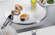 Тепан Miele CT 400 P фото 2 в Казани и Татарстане