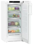 Холодильник Liebherr RBa 4250 фото 2 в Казани и Татарстане