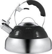 Чайник Maunfeld MRK-119BK фото в Казани и Татарстане