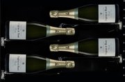 Винный шкаф Dunavox DX-58.258DB фото 3 в Казани и Татарстане