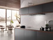 Встраиваемая вытяжка Miele DAS 2920 черный матовый фото 3 в Казани и Татарстане