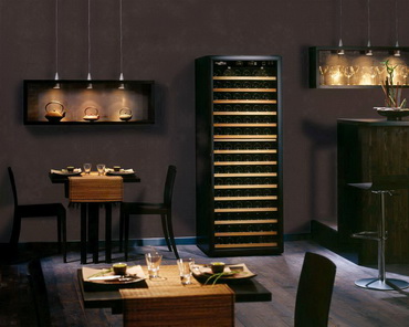 Какой винный шкаф лучше купить: отзывы специалистов в 2021 году