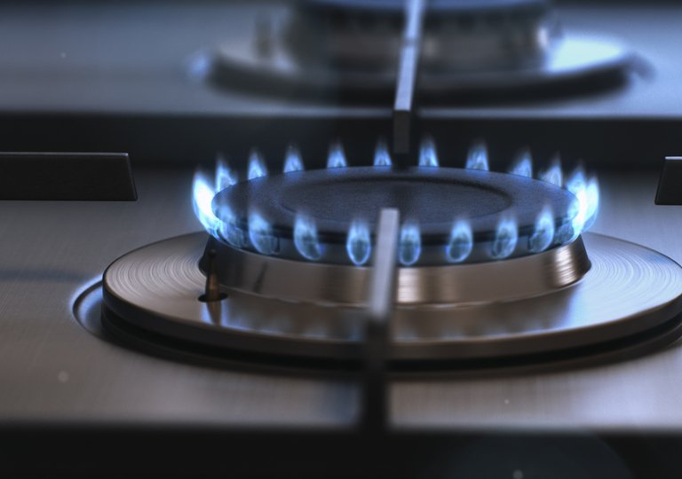 Рейтинг лучших производителей газовых плит