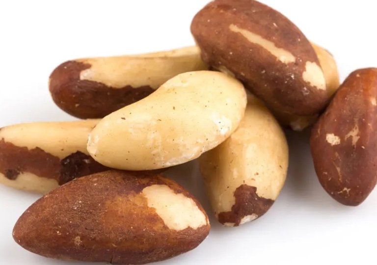 Можно ли, как и сколько хранить бразильский орех в холодильнике?