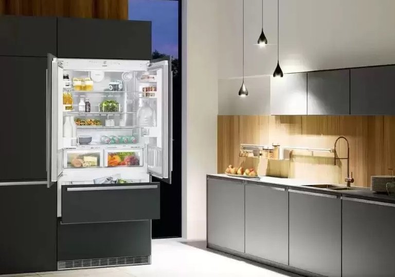 Обзор холодильника Liebherr ECBN 6256 Premium Plus