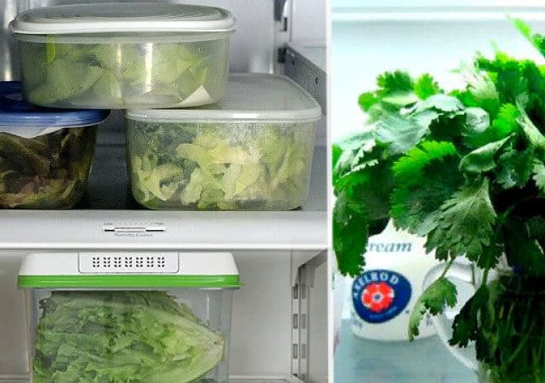 Можно ли, как и сколько хранить базилик в холодильнике