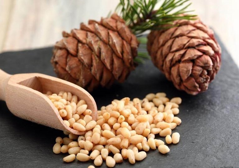 Можно ли, как и сколько хранить кедровые орешки в холодильнике?