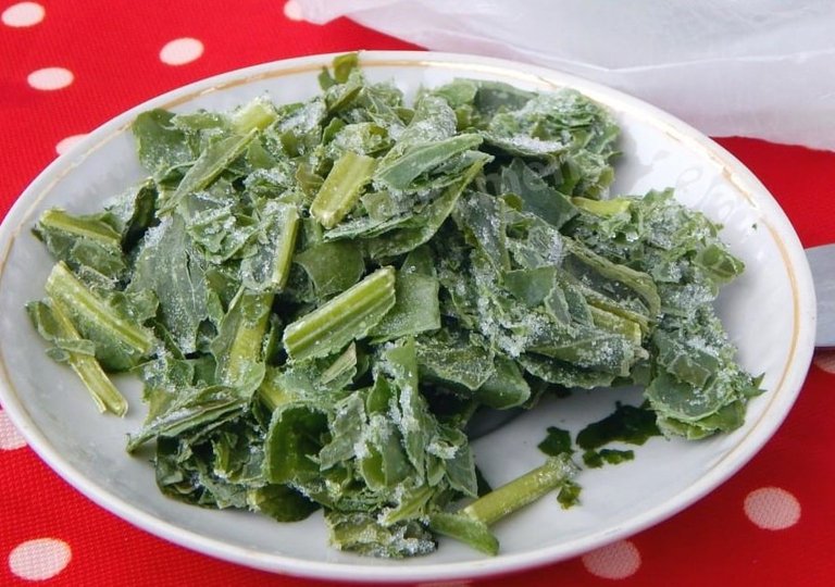 Можно ли, как и сколько хранить щавель в холодильнике