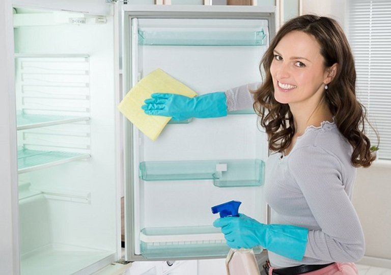Как правильно помыть холодильник