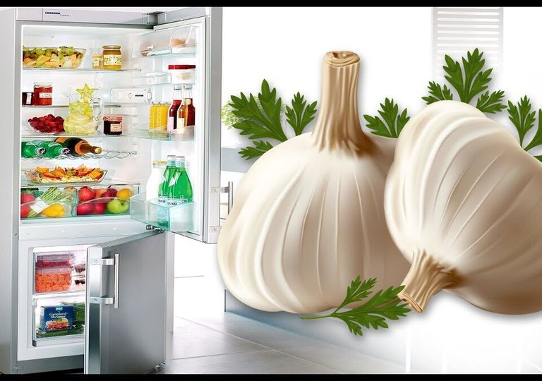 Можно ли, как и сколько хранить чеснок в холодильнике